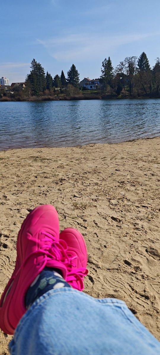 MartinaS. tweet media