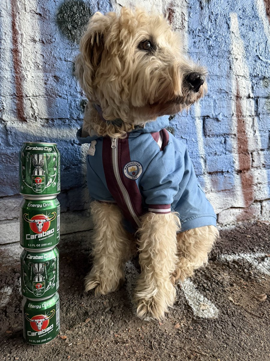 FSUHood's tweet photo. Fueling up for @thecarabaocup ⚽️ 🐶 🏆 🩵 @CarabaoUK @ManCityUS @ManCity @newyorkskyblues @paramountplus @EFL   #CarabaoCup #ManCity #CarabaoCupFinal #EFL #NewYorkSkyBlues #ManchesterCity #NYC #Brooklyn https://t.co/xW9IQZIhXe