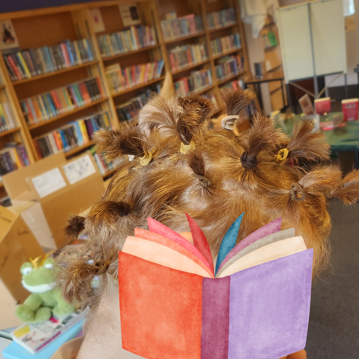 Lourdes Library tweet media
