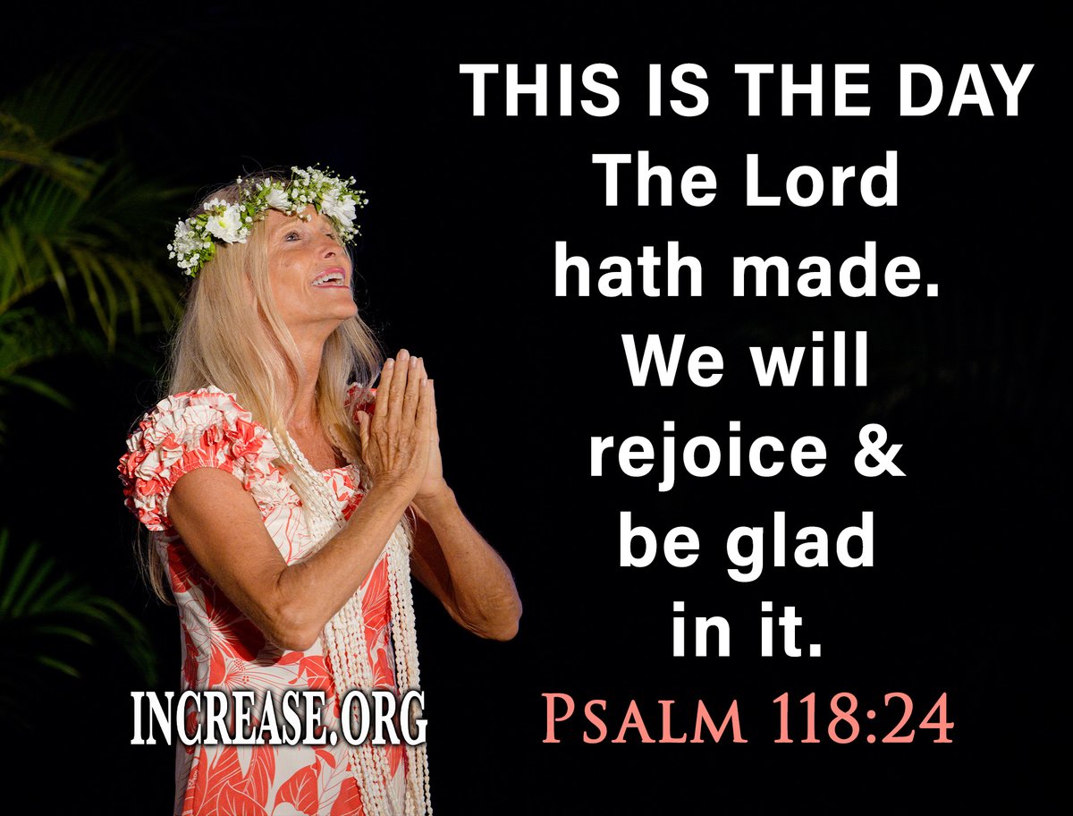 Dr Increase tweet media