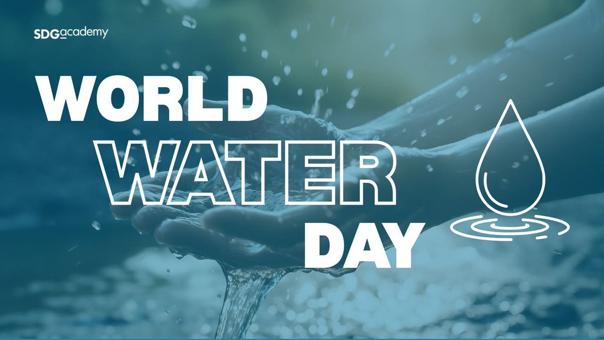 The SDG Academy tweet media