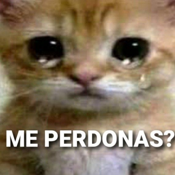 Larrycabergga tweet media