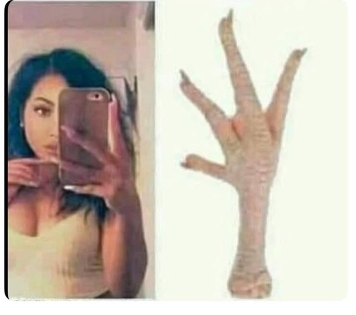 Kelly🐉 tweet media