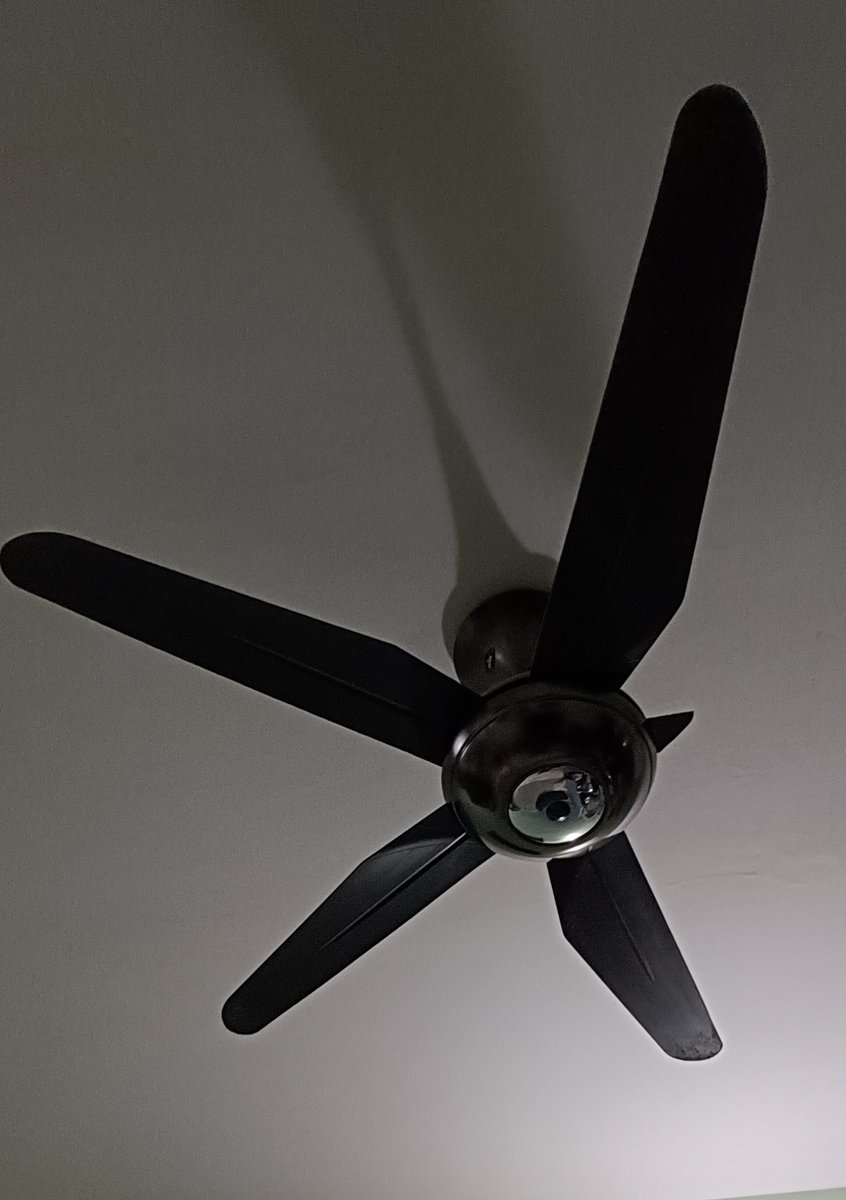 Daburu "Doublez" Akira 😺🎩 tweet media