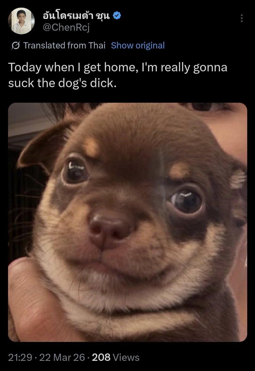 Flofae 🇸🇬 tweet media