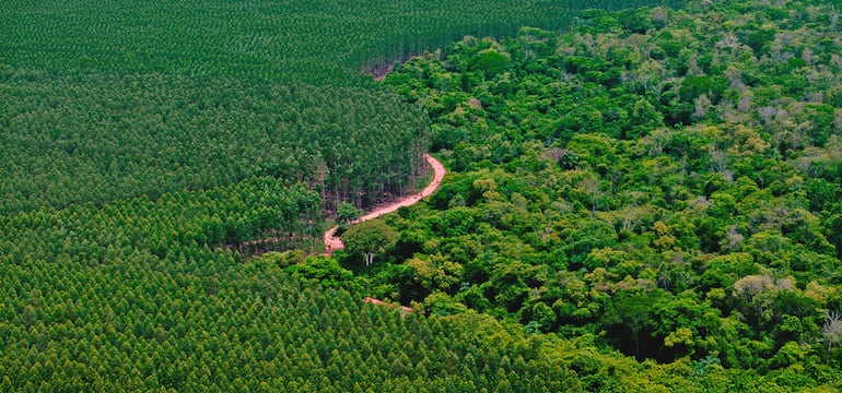 Santiago Zavattiero tweet media