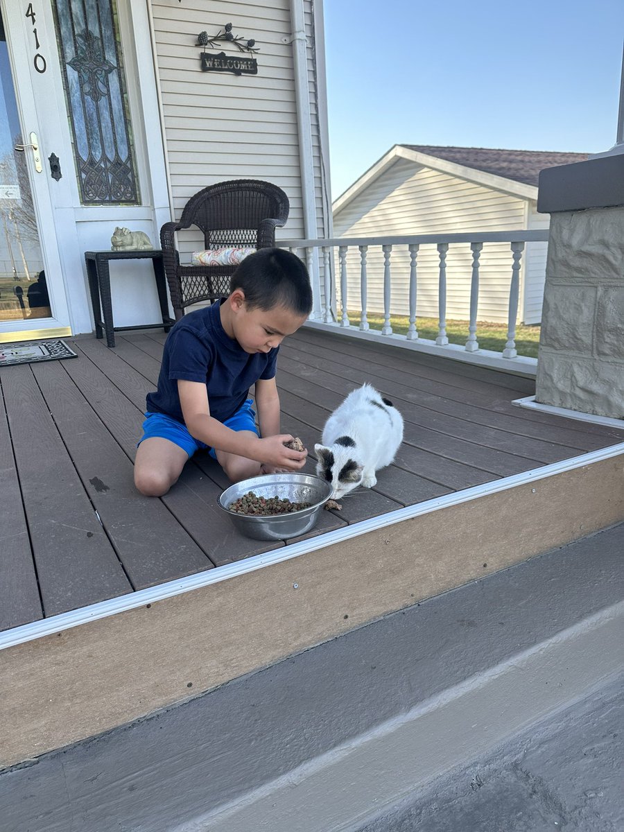 Tyler Todt tweet media