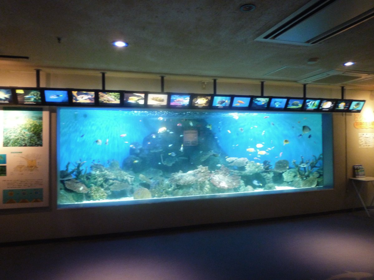 nagi𓅫⸒⸒ tweet media