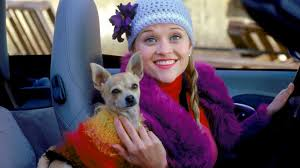 Edgar Allan Poe™ tweet media