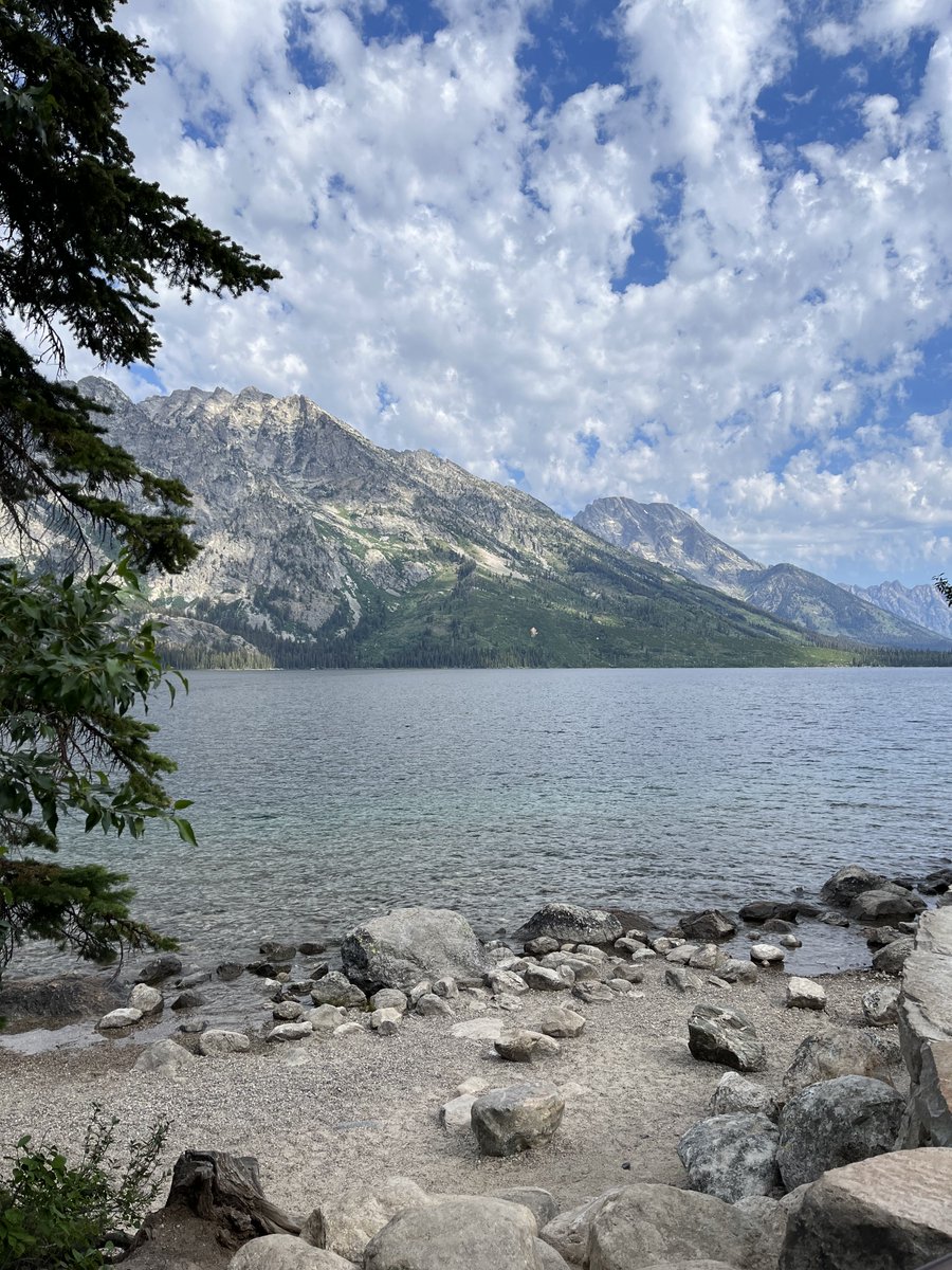 Michael S Smith tweet media