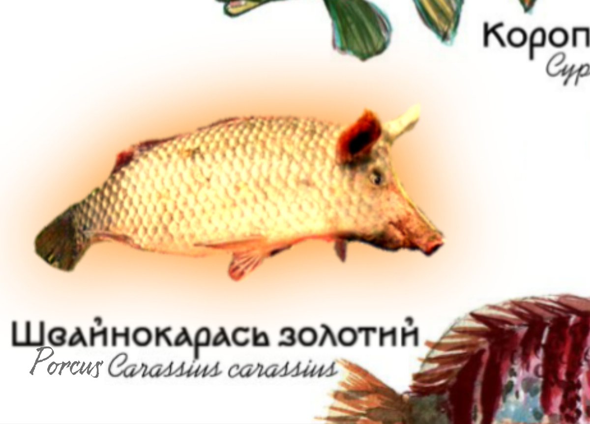 Jean-Baptiste Emanuel Bobr tweet media