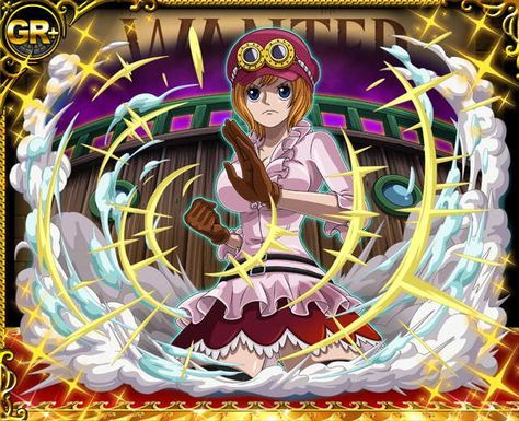 Daily Koala tweet media