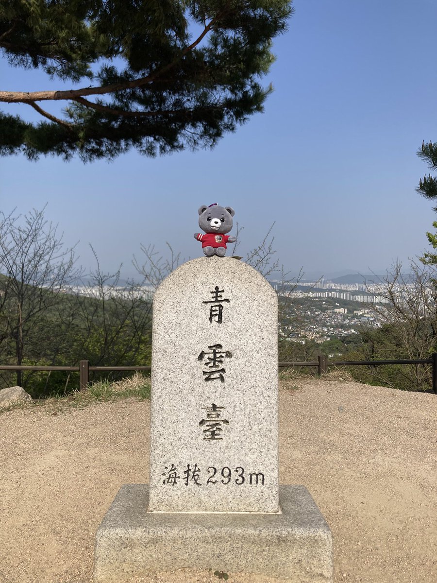 오사삼이일 tweet media