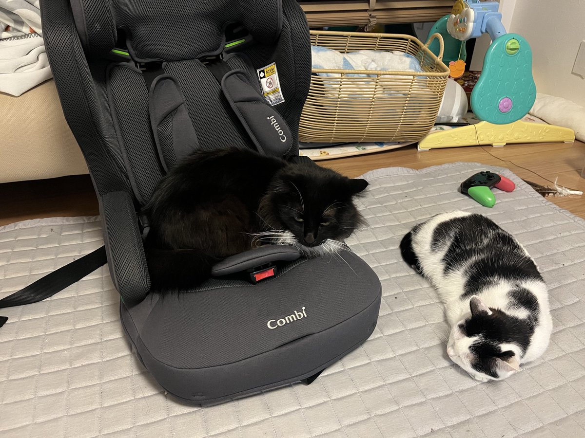 ねろん tweet media