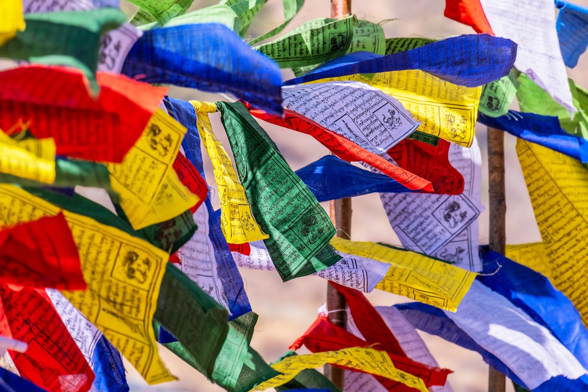 Stuart Litoff tweet media