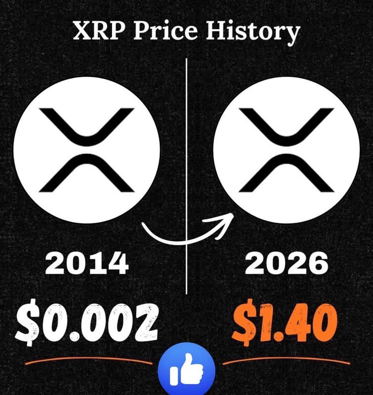 PIPS 🧡 $DOG ᛤ tweet media