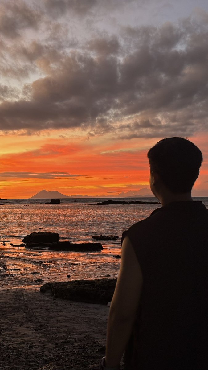 Pachirisu tweet media