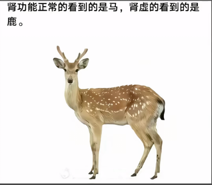 哭哭狗 tweet media