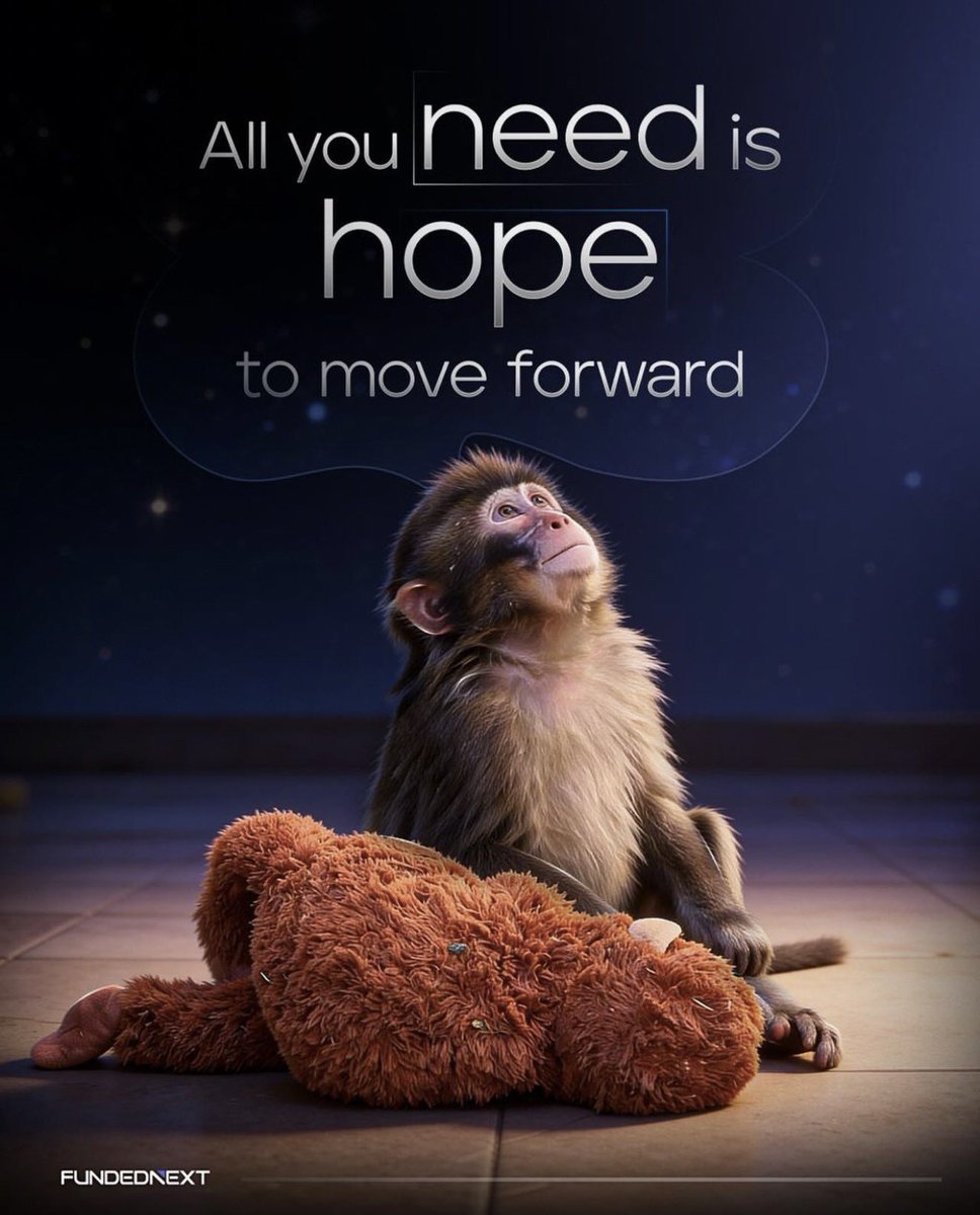 Techriz💯📈 tweet media