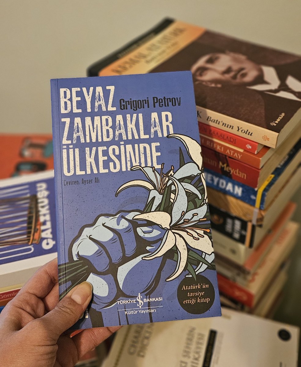 Begüm Mol tweet media