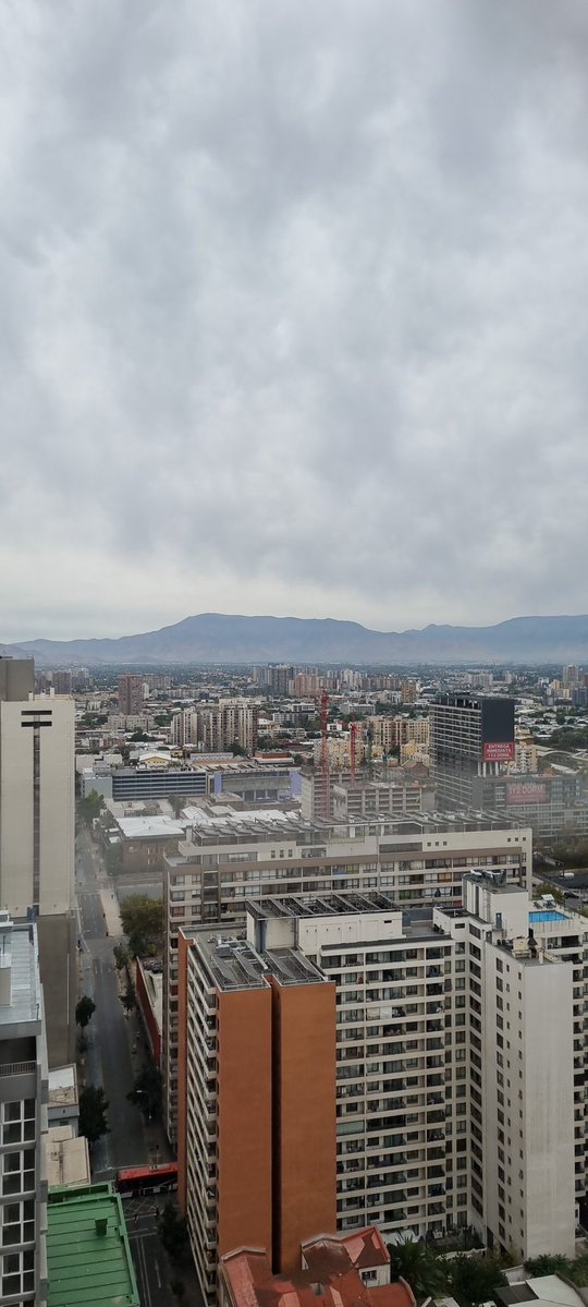 Alejandro Wallace tweet media