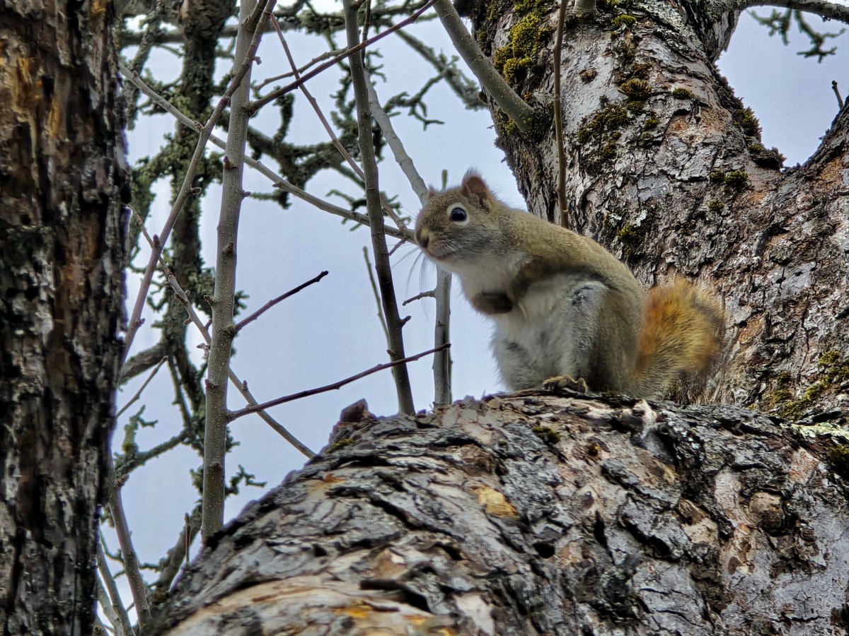 O'teach John tweet media