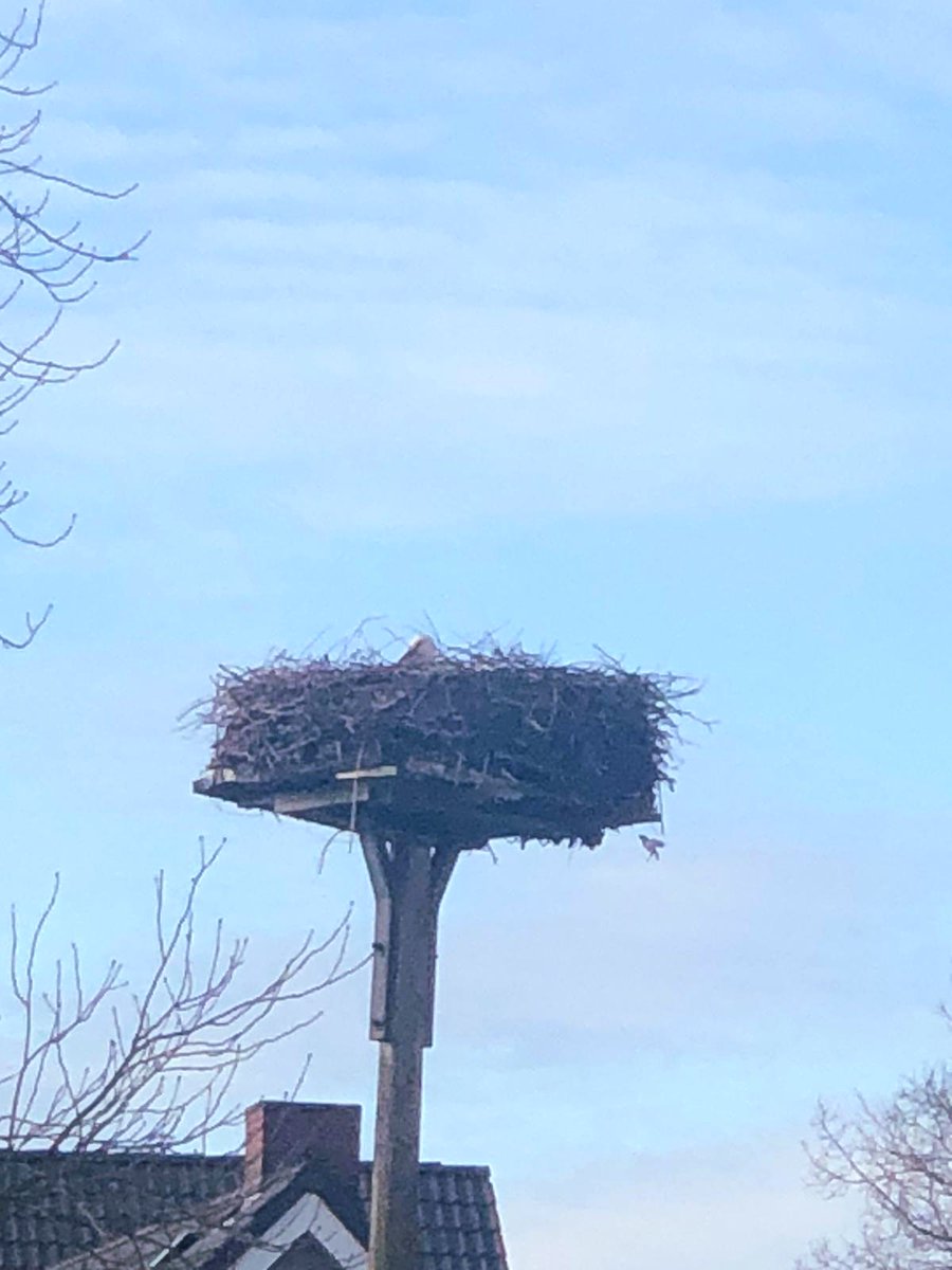 Dagmar Pfeiffer 🗽🇮🇱 🇺🇲🎗 tweet media