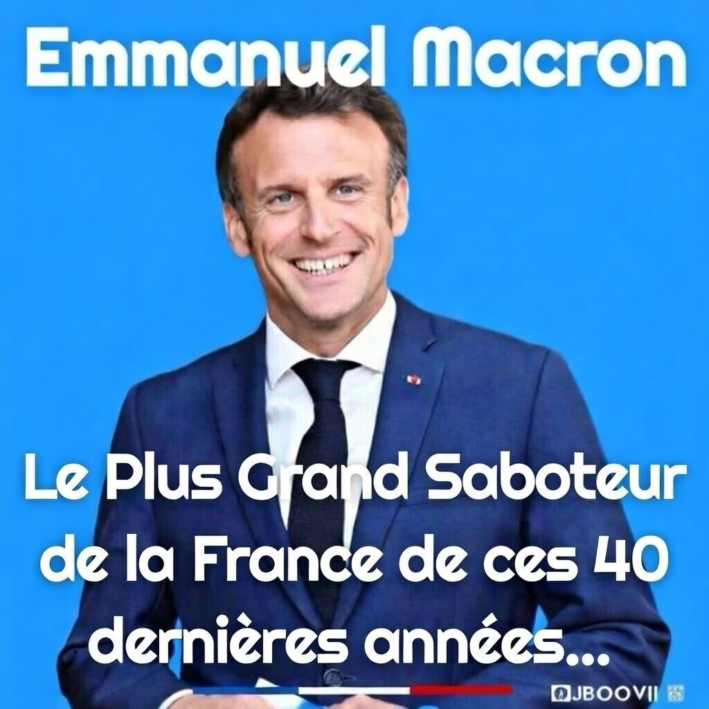 La France, Patrie résistante tweet media