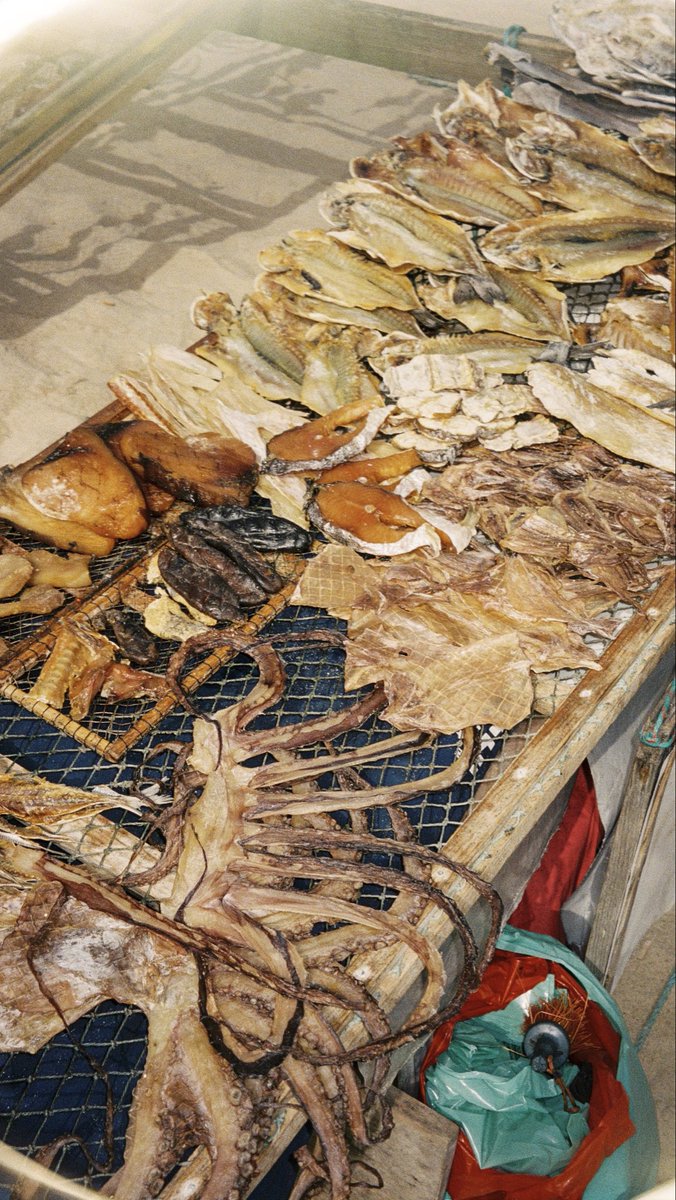 Portugal tweet media