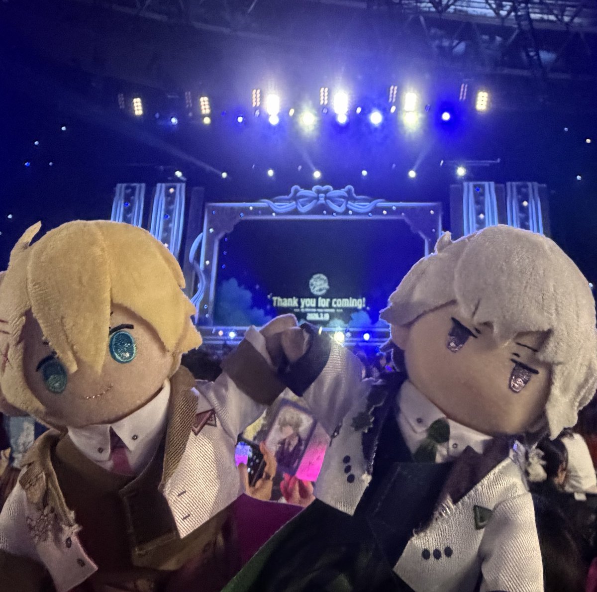 座布団 tweet media