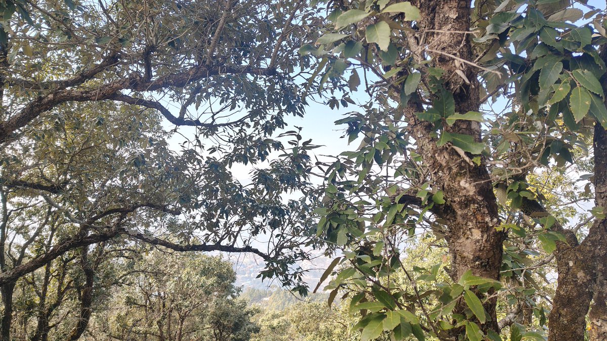 Aljakhope3's tweet image. He was taught to be strong, so he became silent.
#healing #PeaceOfMind