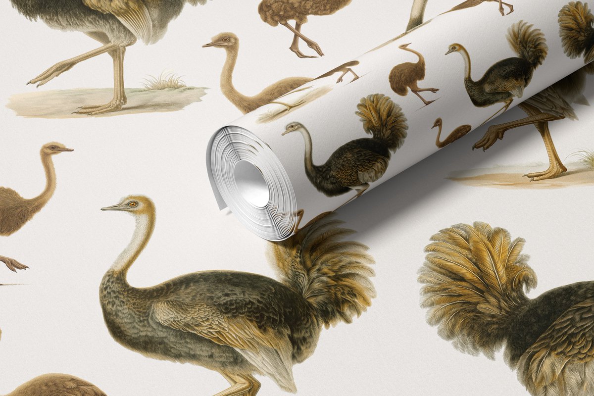 imrikStudio® tweet media