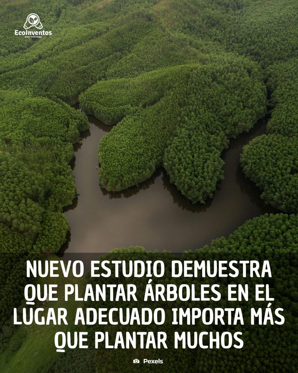 EcoInventos's tweet photo. Nuevo estudio demuestra que plantar árboles en el lugar adecuado importa más que plantar muchos.

https://t.co/bueDuQBieP https://t.co/oRizSGwIg9