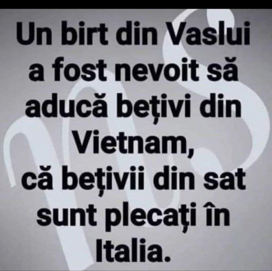 Mariana Munteanu tweet media