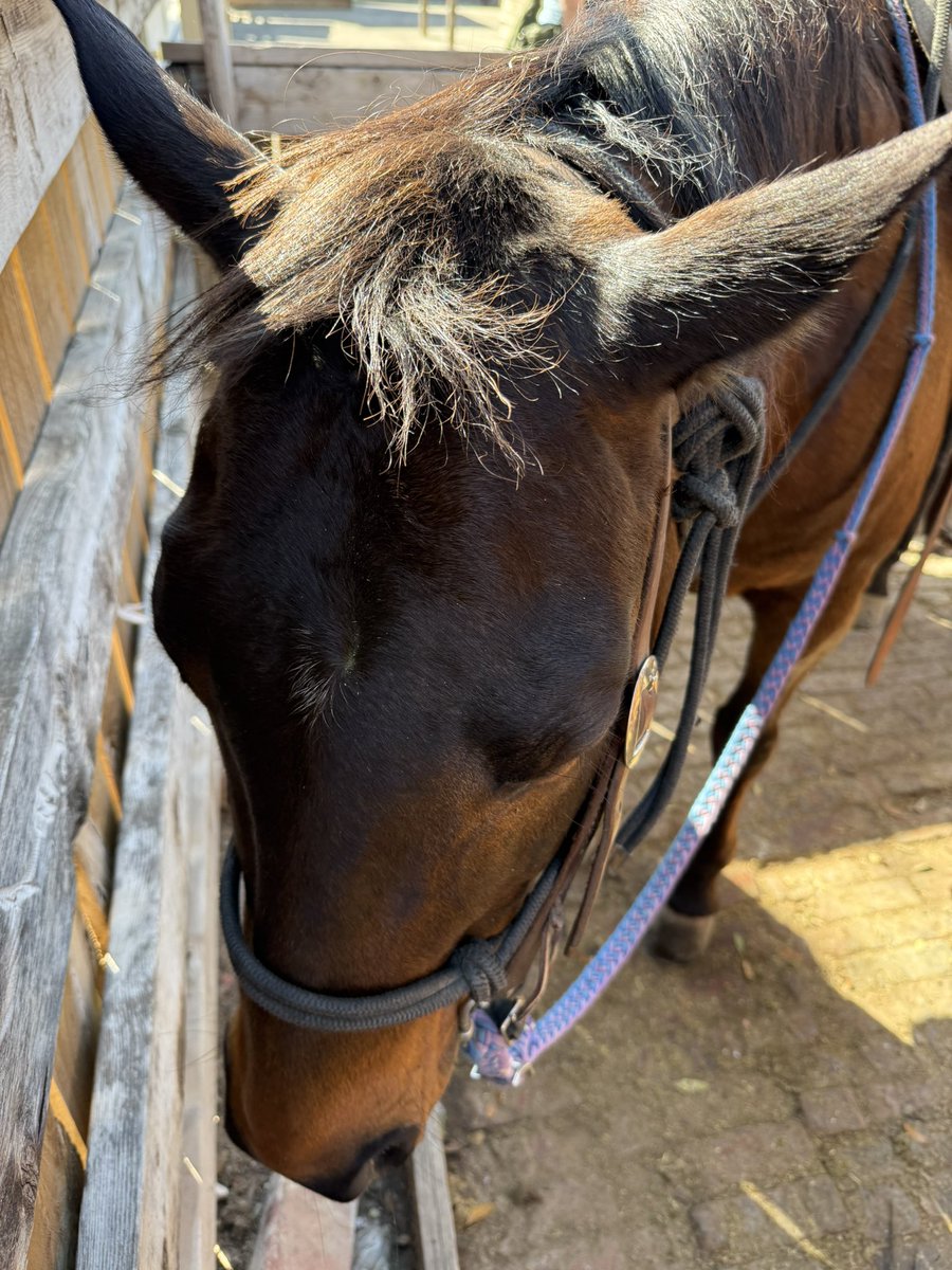 cryptorockstar tweet media