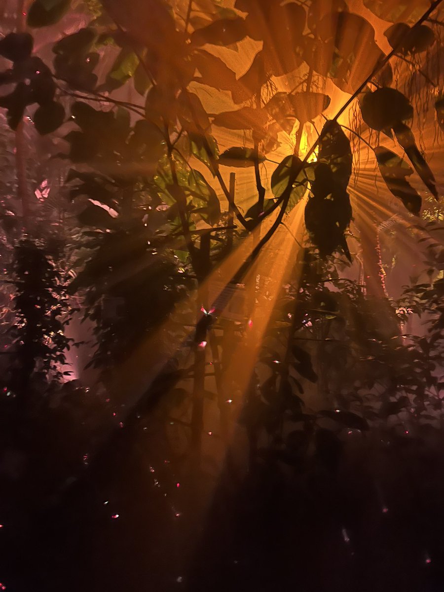 もっちー tweet media