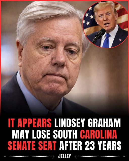 dave lawrence 🐟🐟🐠 tweet media