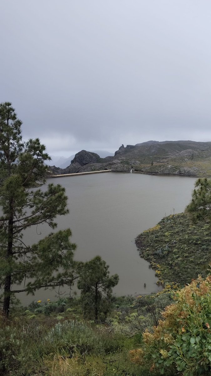 FenixCanarias's tweet photo. Presa de Las Niñas esta mañana. A 1,6 m para alcanzar su cota máxima. https://t.co/S3WJ5kF5mm