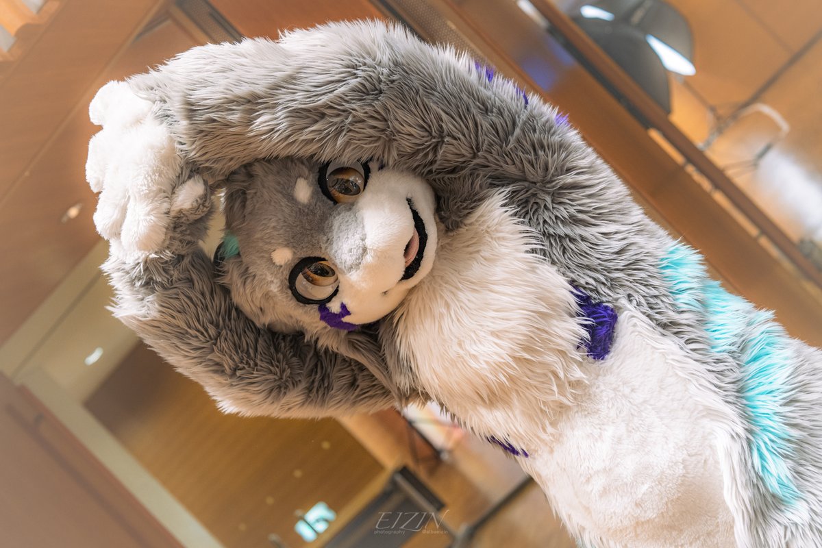 𝗘𝗜𝗭𝗜𝗡🦋 tweet media