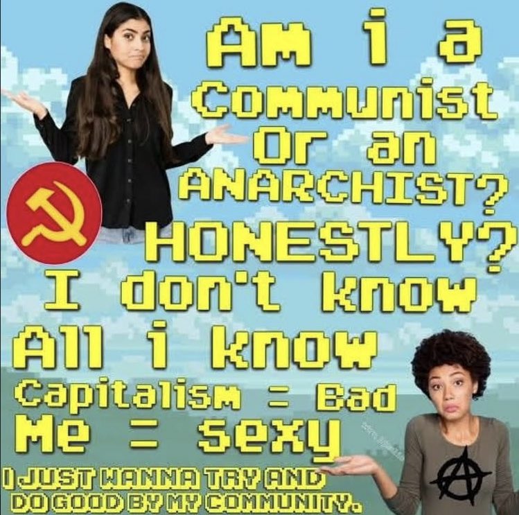 la musa del todo tweet media