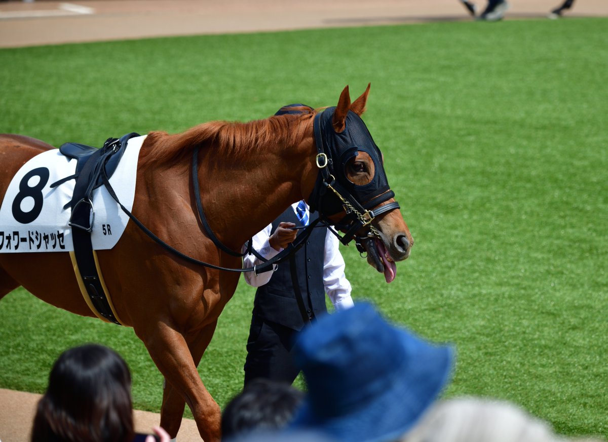 𝘿𝙖𝙣𝙜𝙤🍡 tweet media