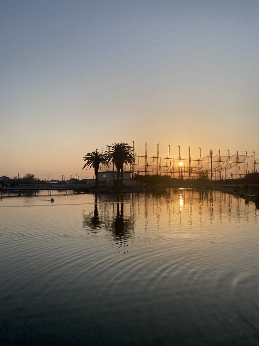 船木淳 tweet media