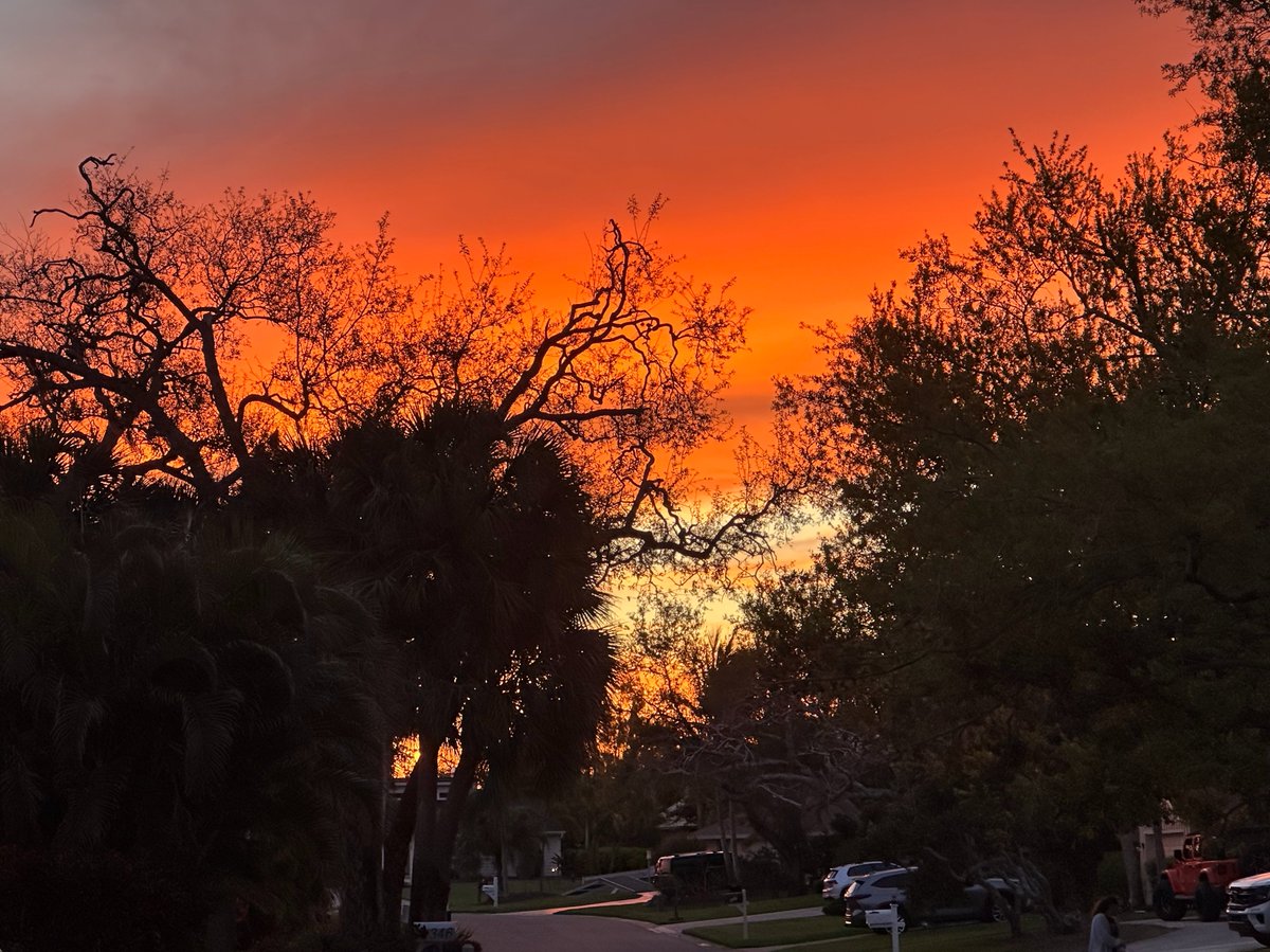 Skip Cohen tweet media