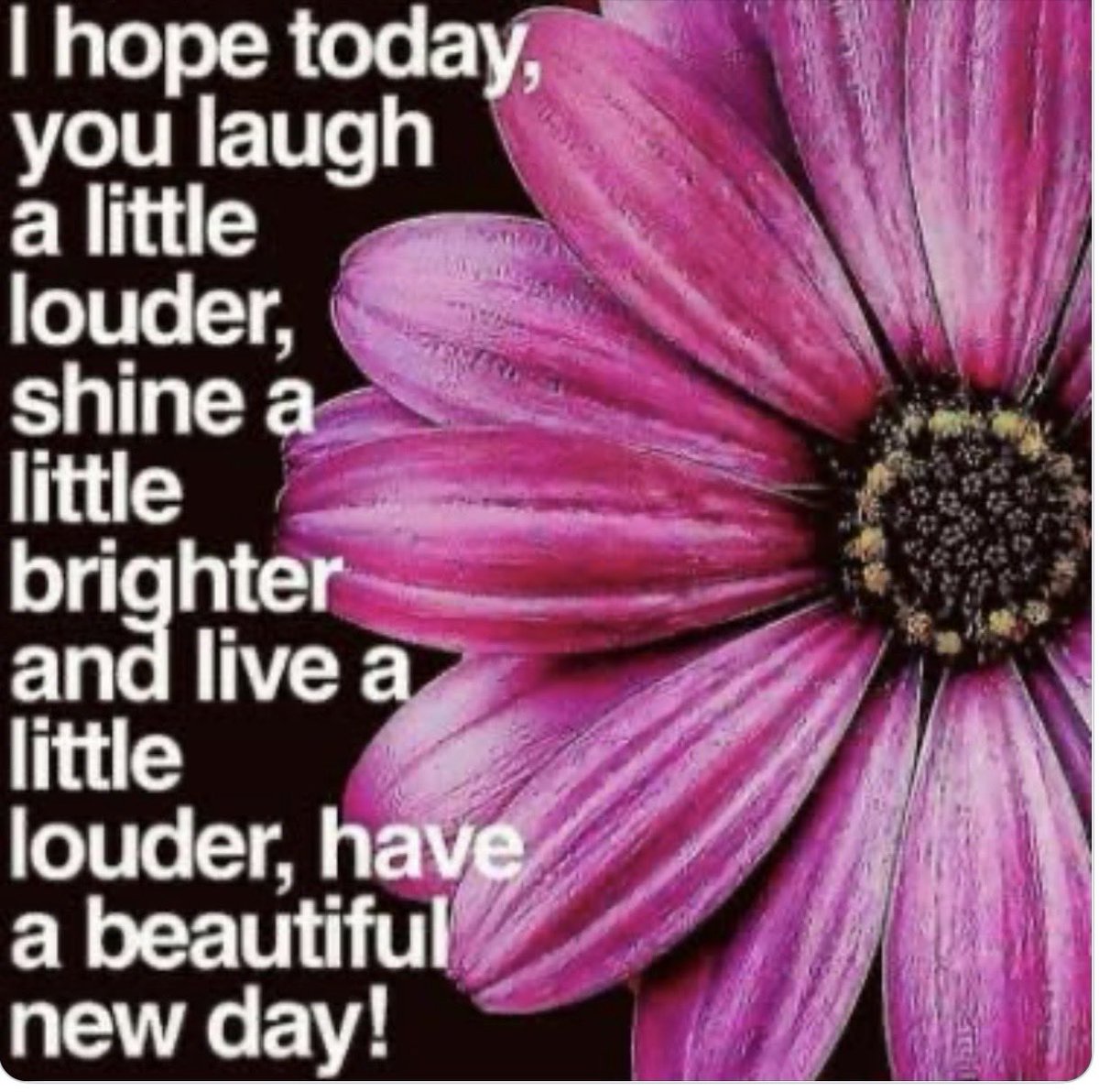 PammsyNow tweet media