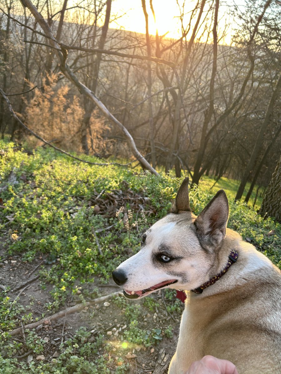 Kirsten Mustain tweet media