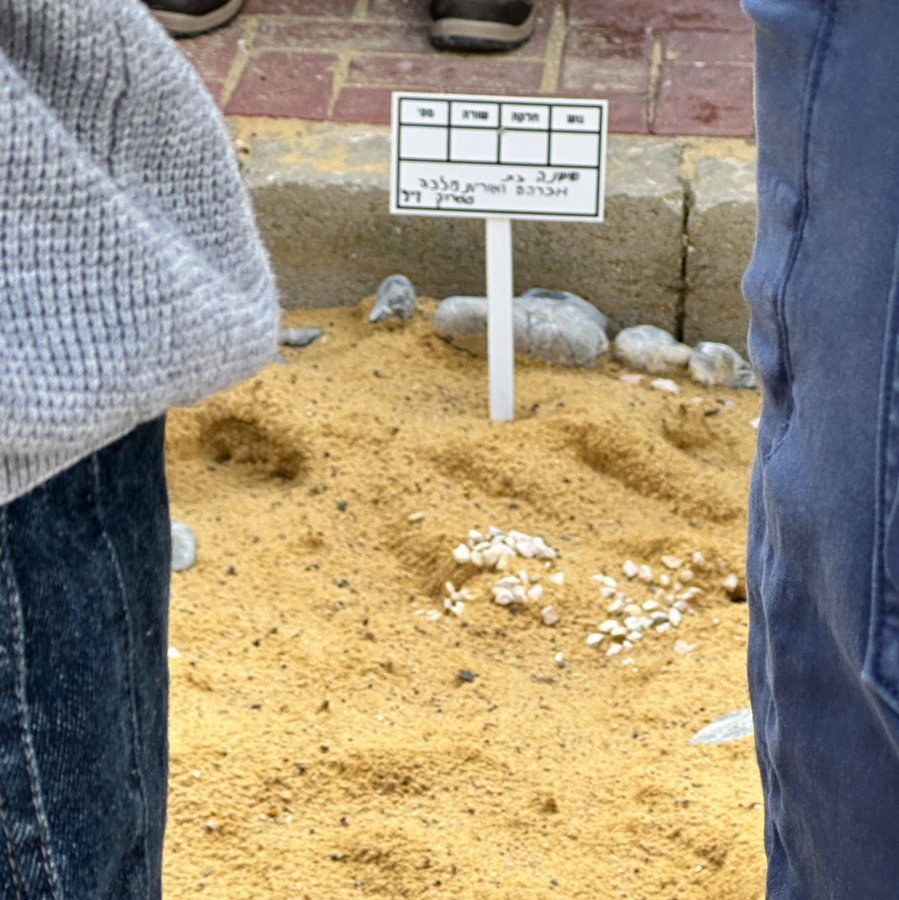 חיכיתי עם זה עד תום השבעה ממנה קמה הבוקר משפחת השרה אורית סטרוק, ועכשיו צריך לומר לכל האדיוטים השימושיים מימין ובעיקר מהמגזר הדתי והחרדי...
תגידו חבורה של מטומטמים, באמת נראה לכם שזה סיפור של השרה והבת האומללה שלה?
איך אתם לא קולטים שכל הקמפיין הזה נועד להשליך את כל הסטיות של