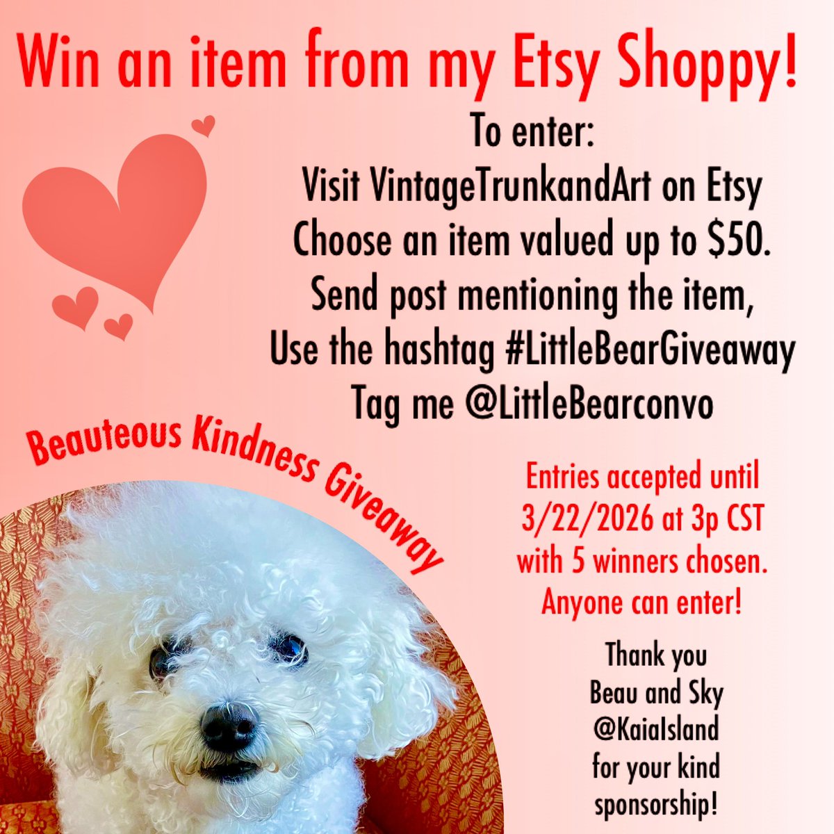 Little Bear tweet media