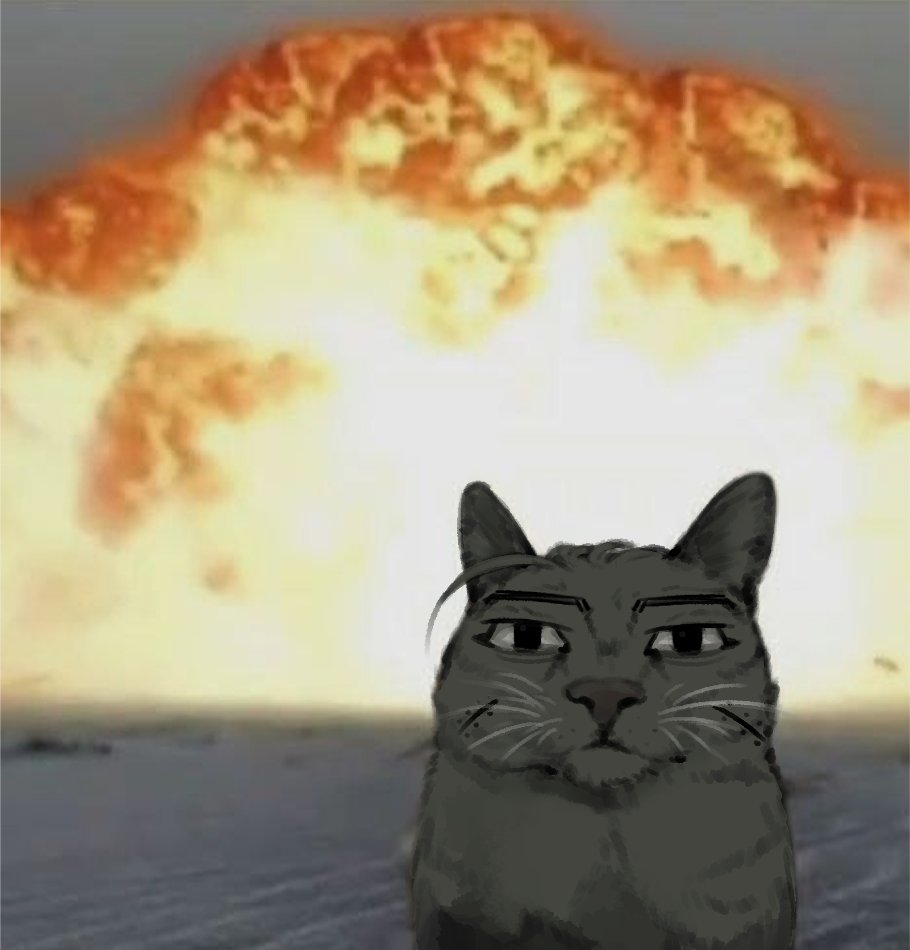 적토마 tweet media