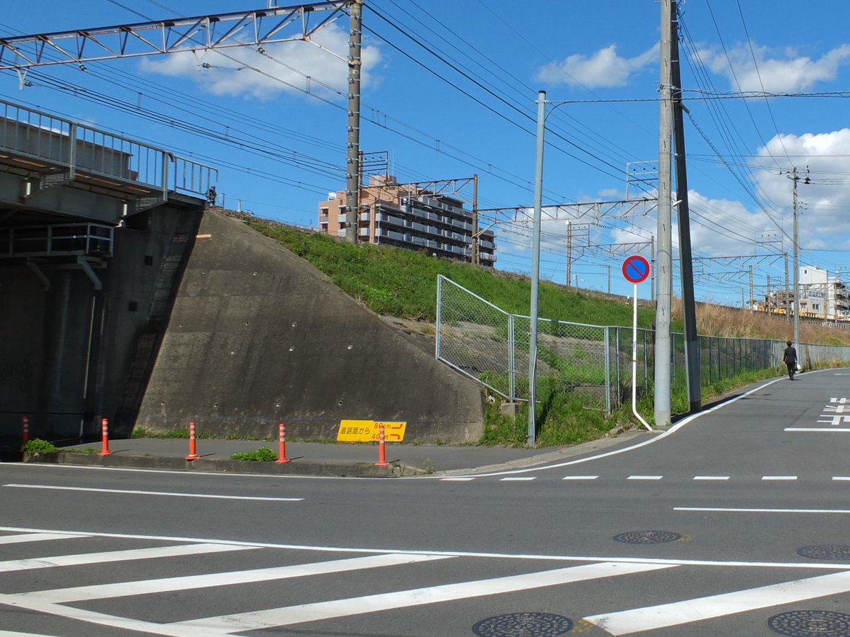 Fun Model tweet media