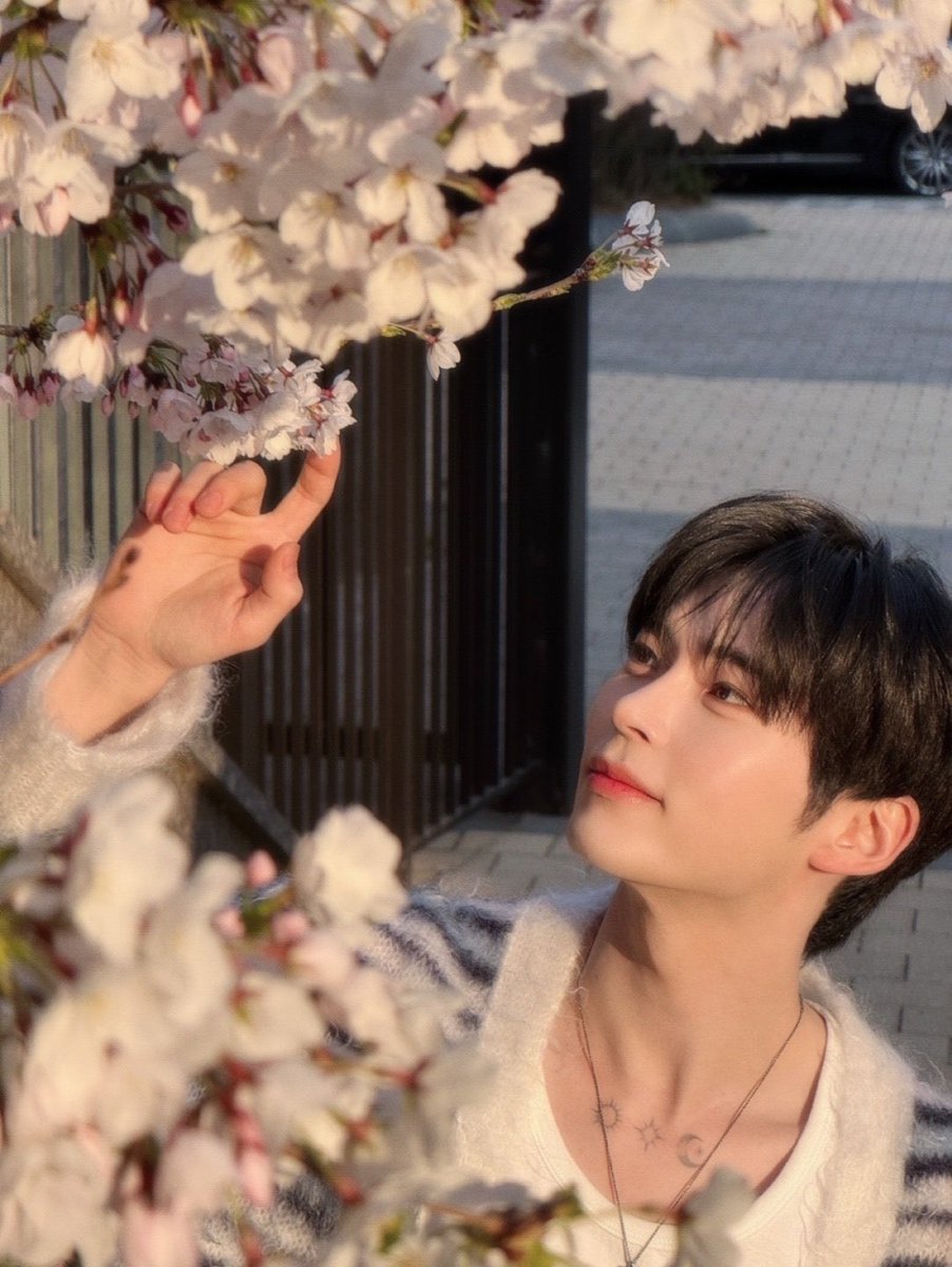 ૮(๑ ᴗ͈ ․̫ ᴗ͈ ๑)ა🍀 tweet media